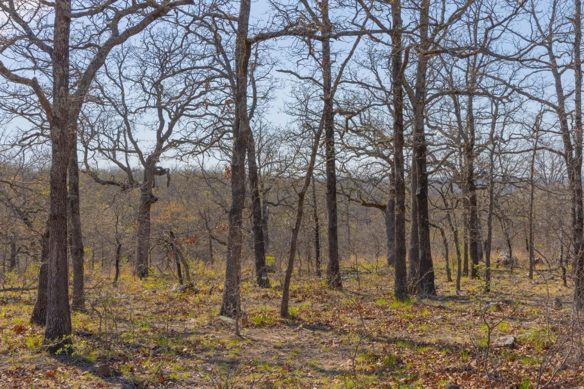 JLH Estates Tract 19 - Image 2