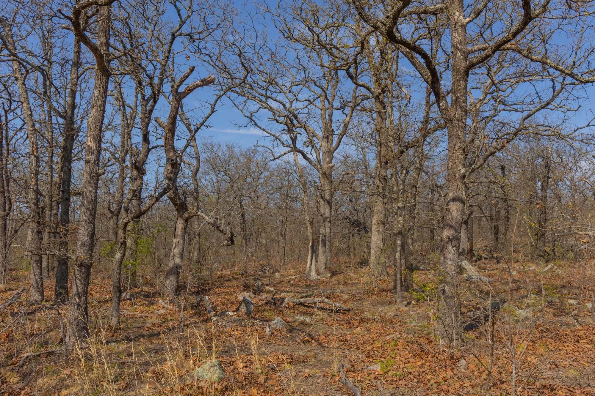 JLH Estates Tract 19 in Okfuskee County, OK