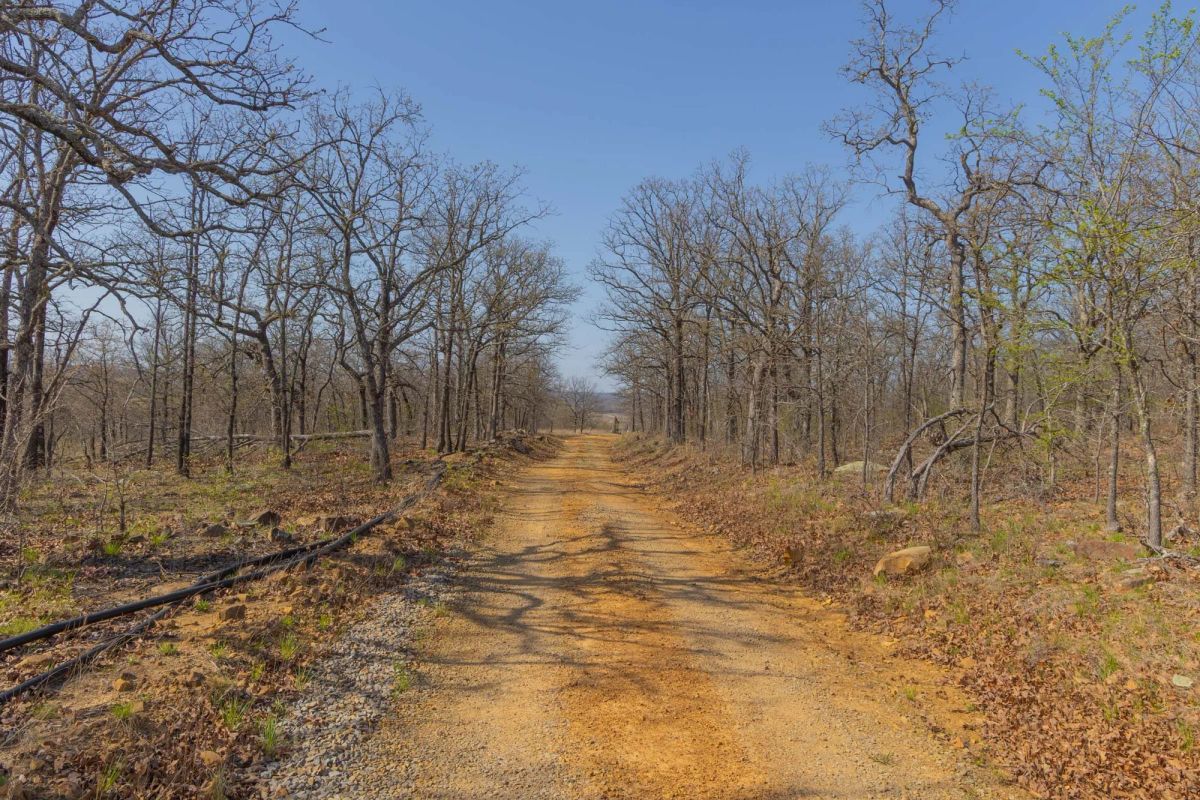 Decorative background for JLH Estates Tract 19 image 5
