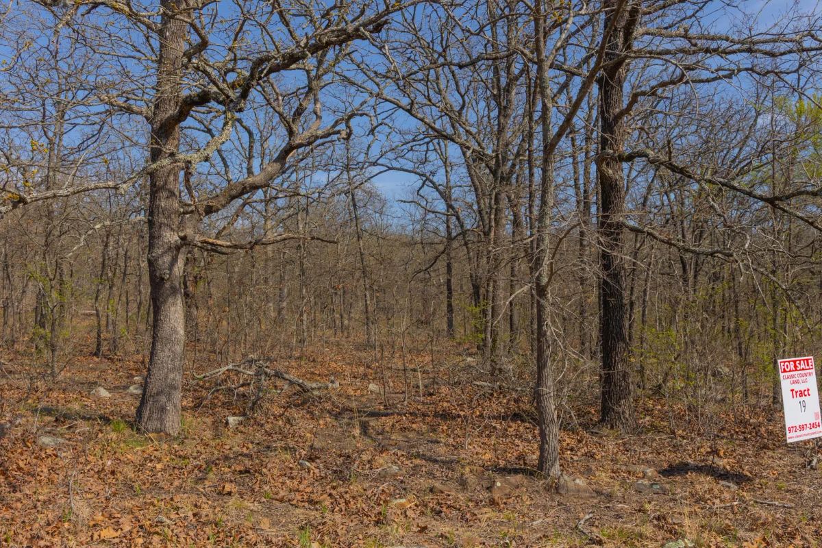 Decorative background for JLH Estates Tract 19 image 7