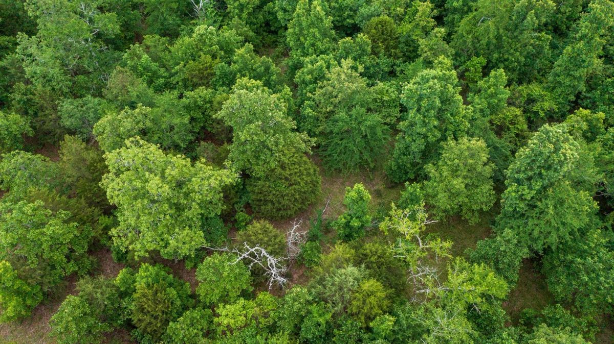 Falcon Crest Tract 19 - Image 2