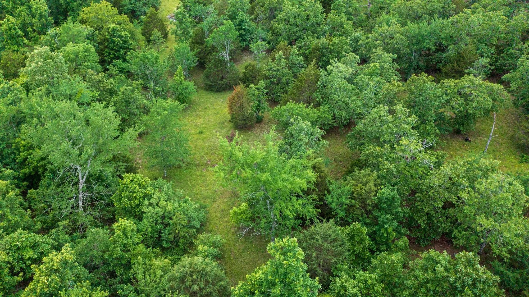 Falcon Crest Tract 19 in Pushmataha County, OK
