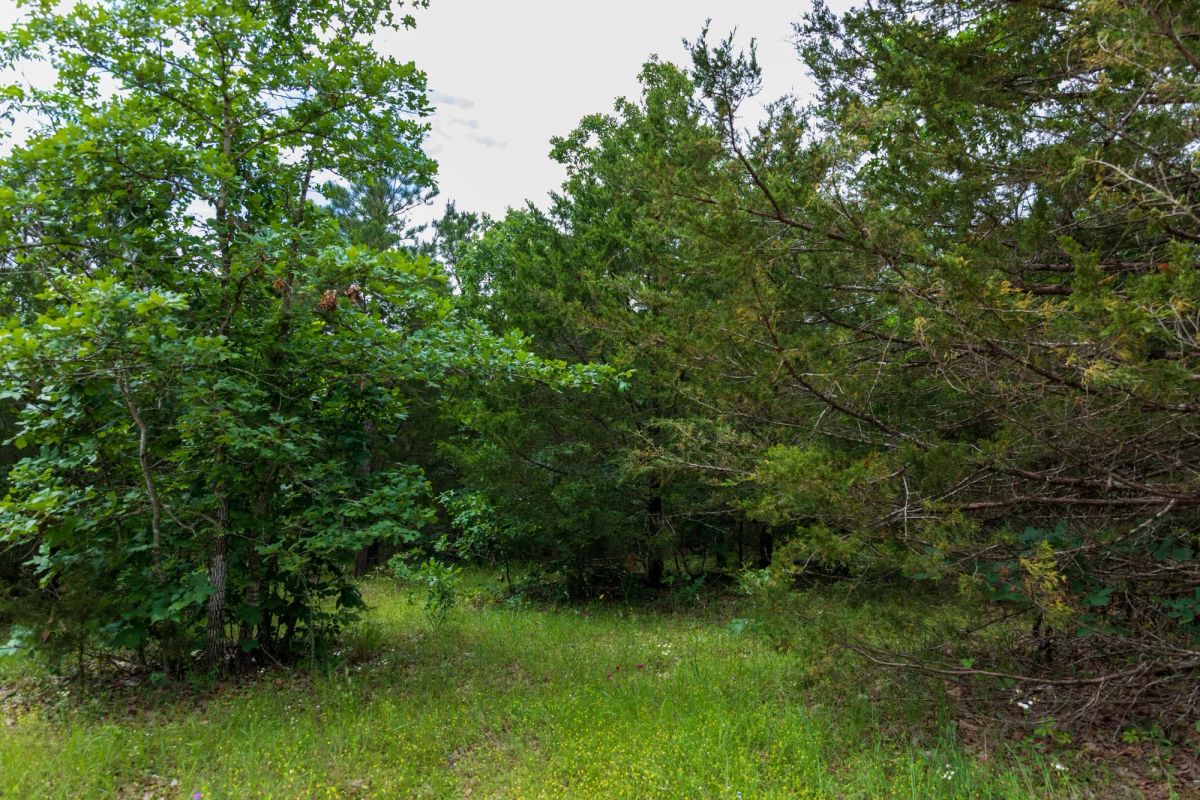 Decorative background for Falcon Crest Tract 19 image 8