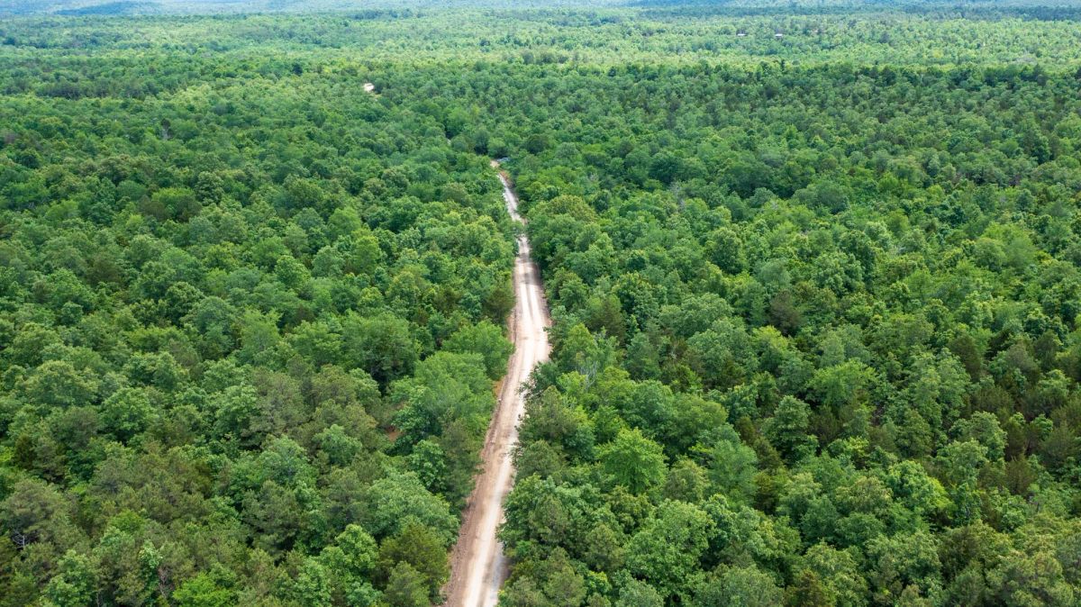 Decorative background for Falcon Crest Tract 19 image 9