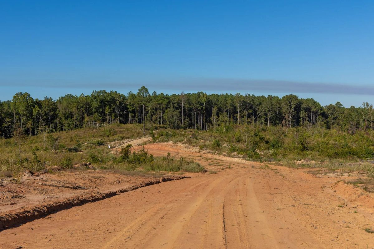 Meyer’s Ridge Tract 12 - Image 2