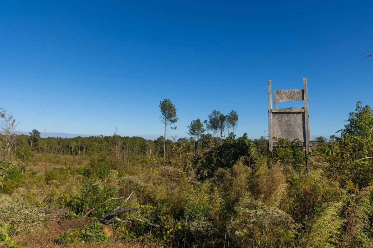 Meyer’s Ridge Tract 12 - Image 4