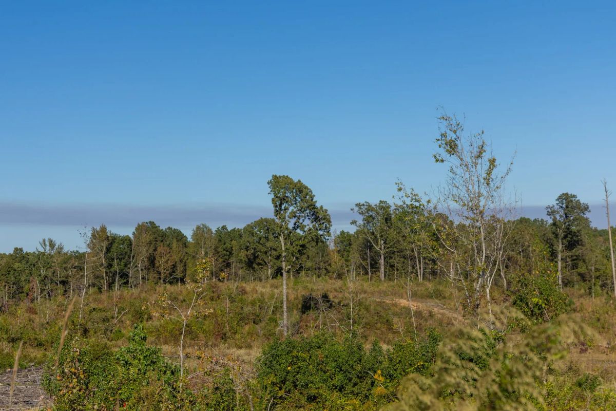 Decorative background for Meyer’s Ridge Tract 12 image 7