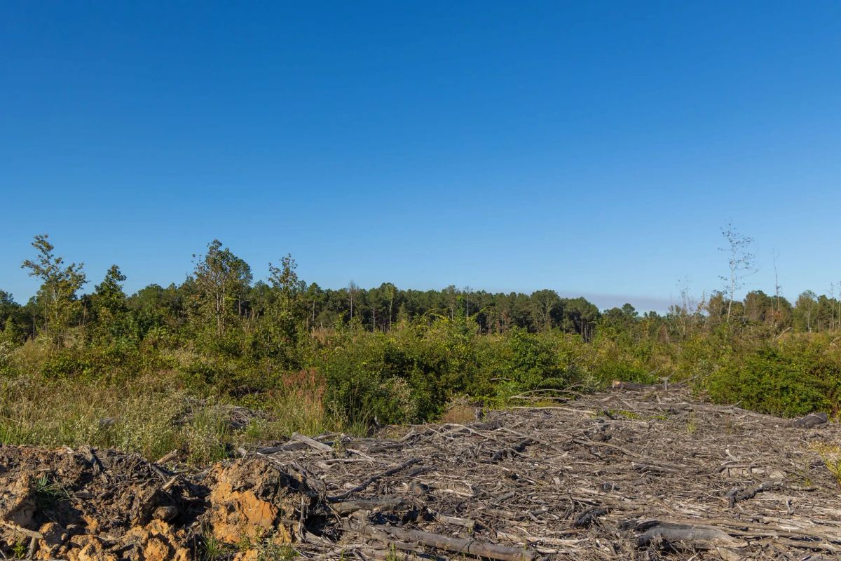 Decorative background for Meyer’s Ridge Tract 12 image 8