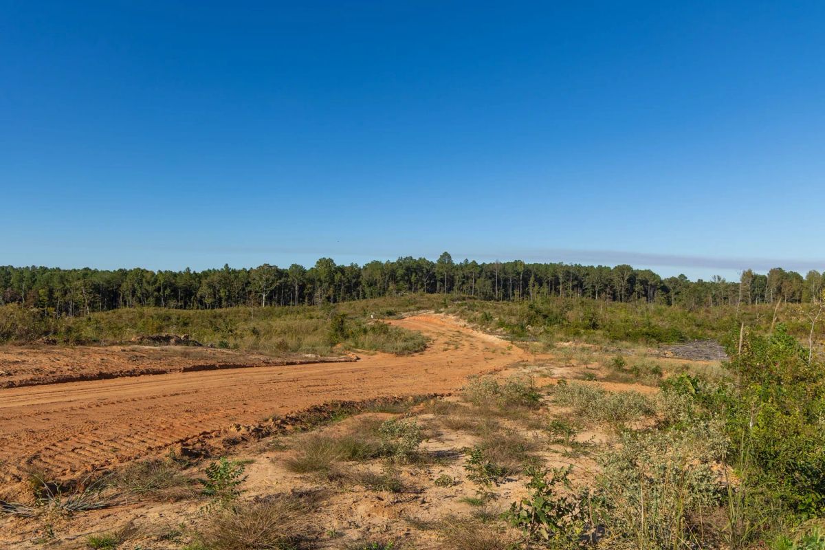 Decorative background for Meyer’s Ridge Tract 12 image 9