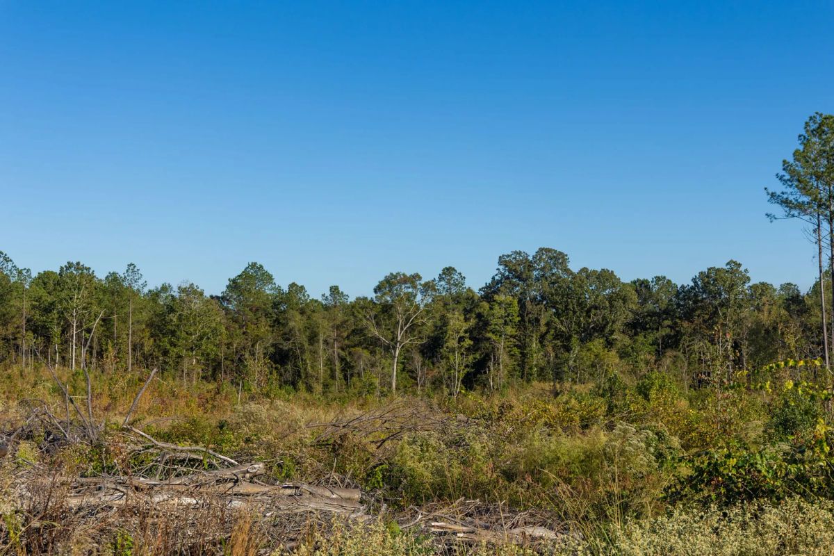 Decorative background for Meyer’s Ridge Tract 12 image 10