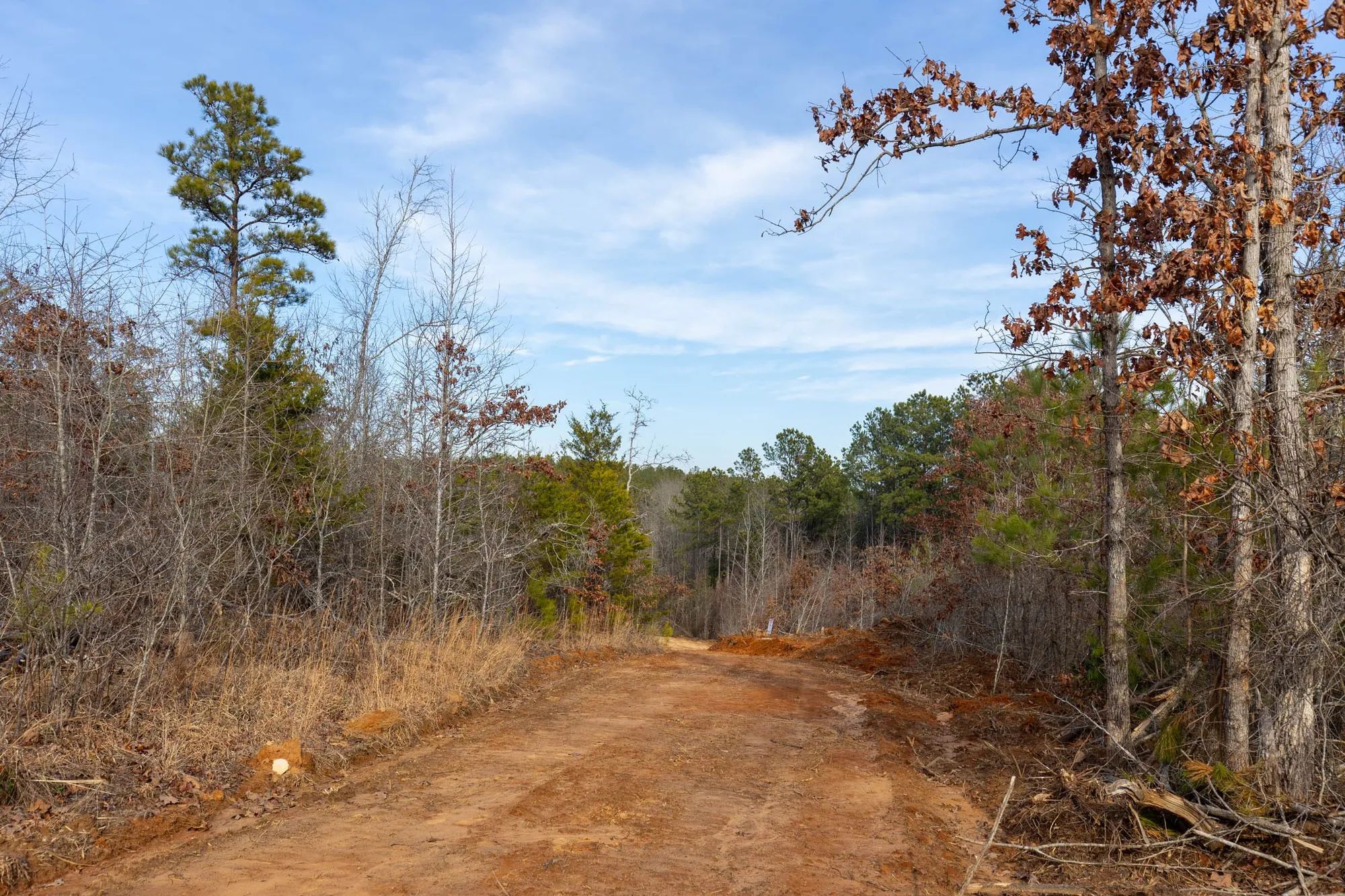 Baker Creek Tract 11 in Fayette County, AL