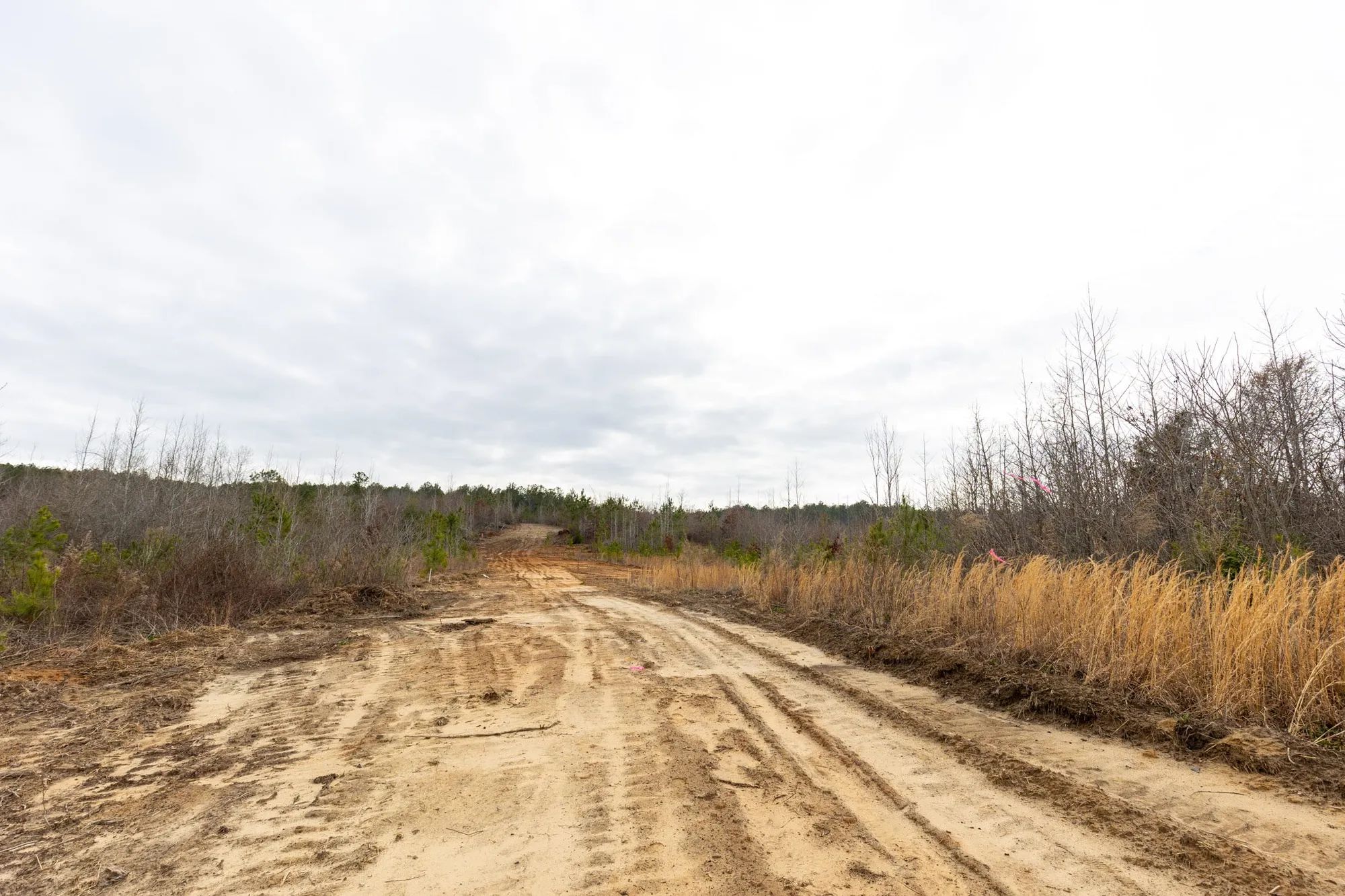 Baker Creek Tract 11 in Fayette County, AL