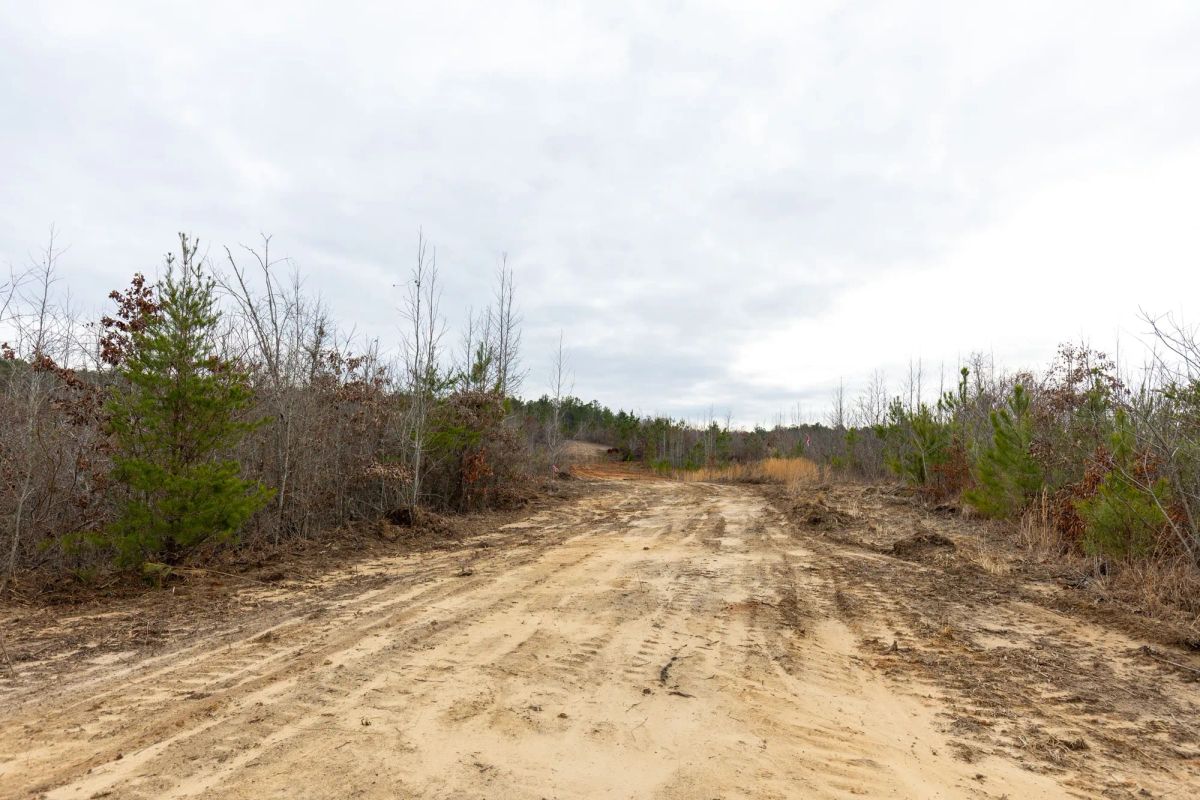 Decorative background for Baker Creek Tract 11 image 6