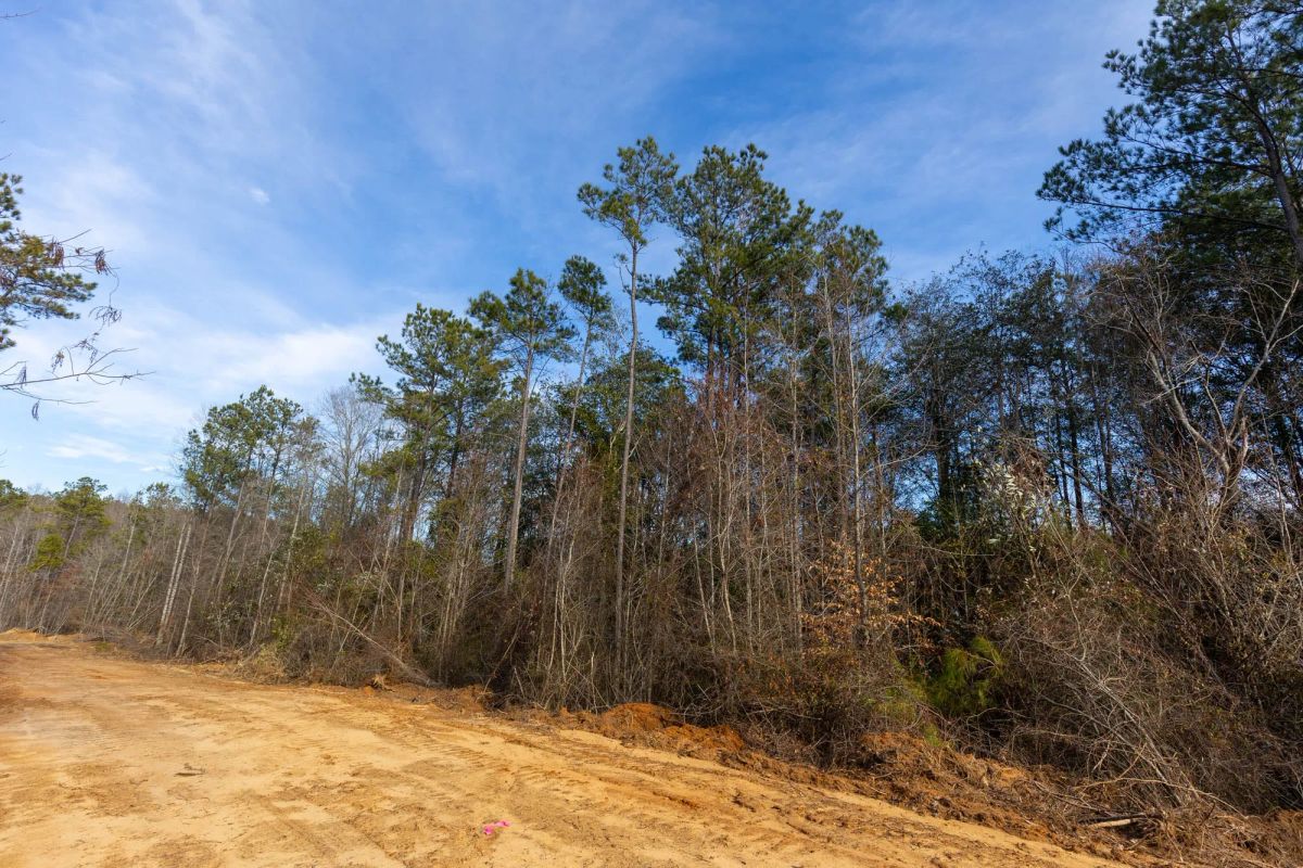 Decorative background for Baker Creek Tract 11 image 7