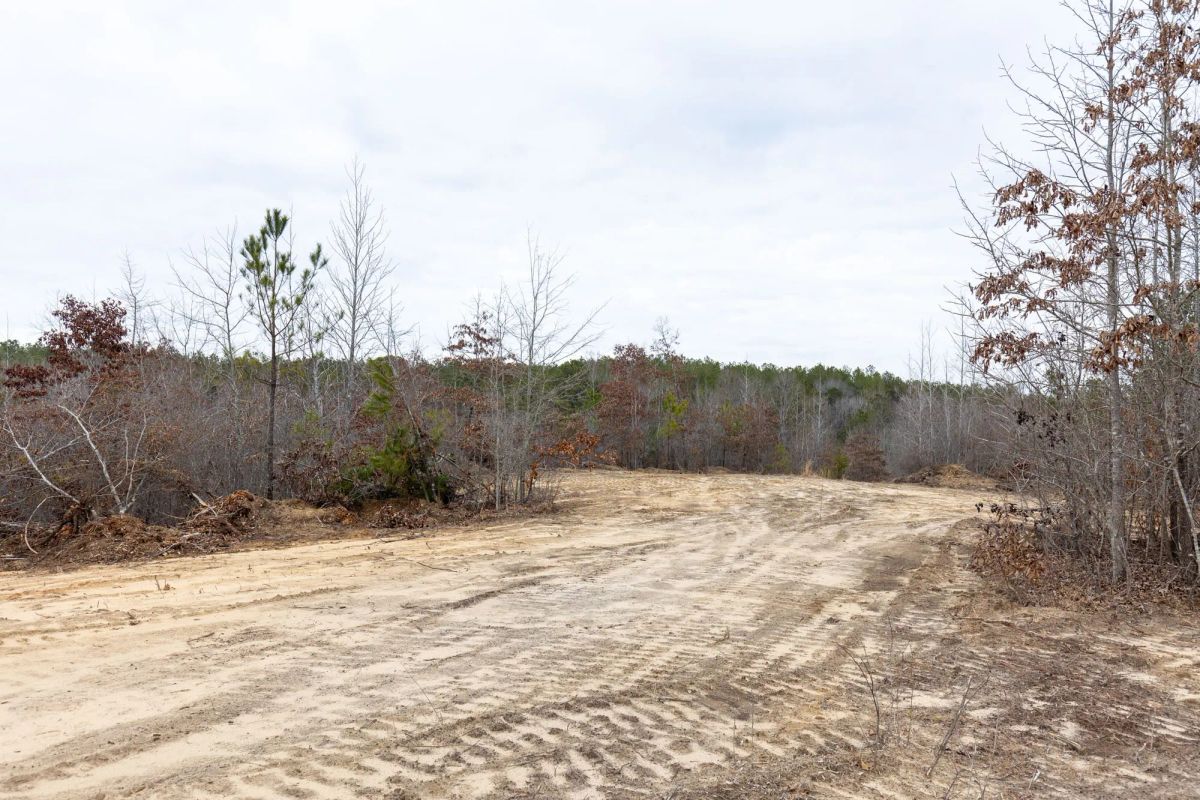 Decorative background for Baker Creek Tract 11 image 8