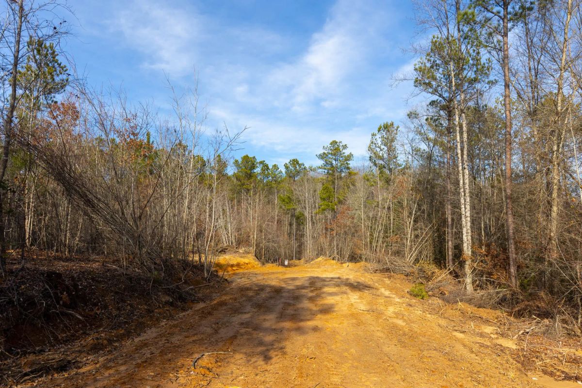 Decorative background for Baker Creek Tract 11 image 11