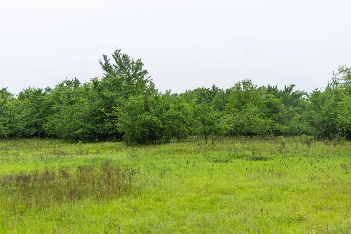 Harmony Hills Tract 16 - Image 4