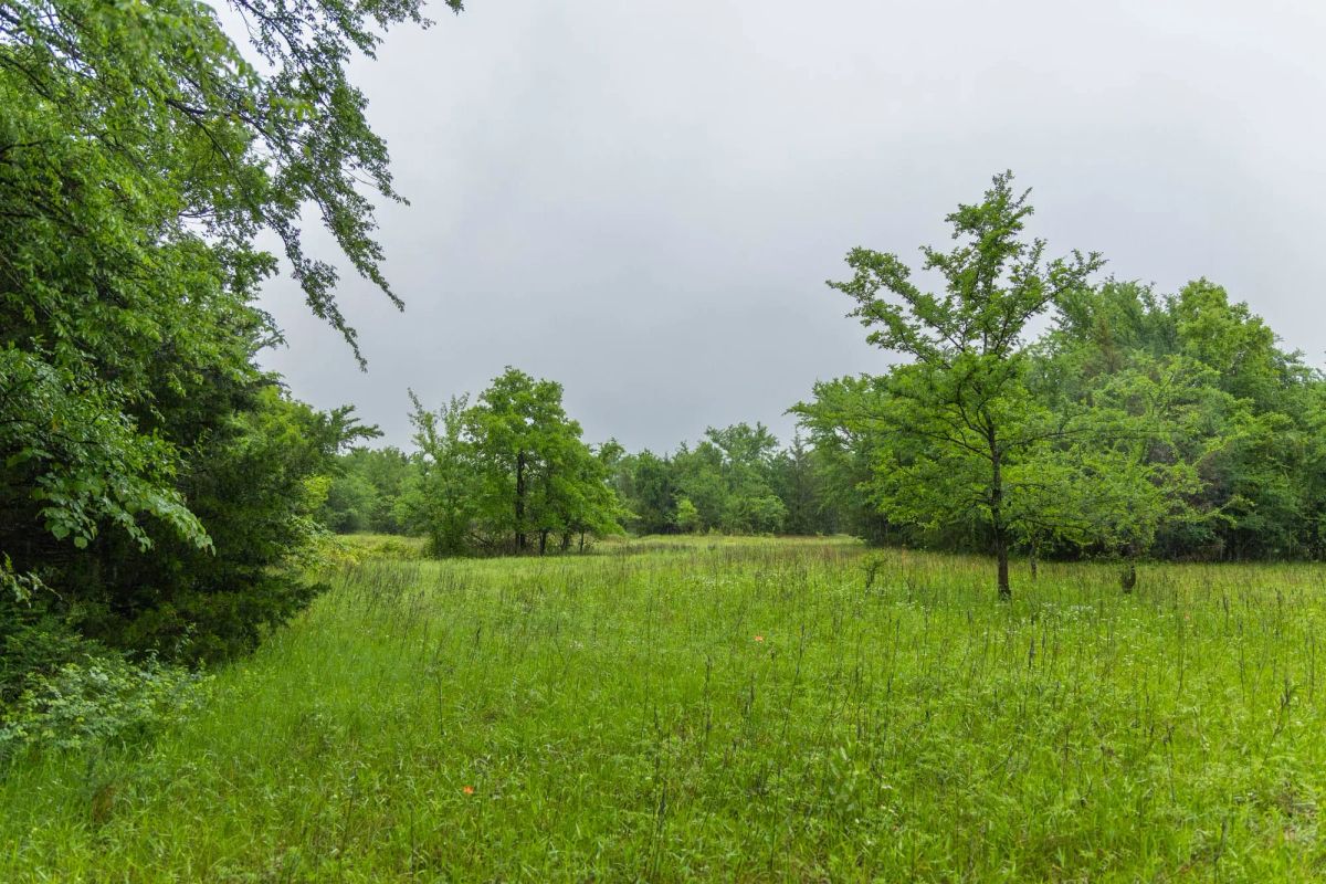 Decorative background for Harmony Hills Tract 16 image 5