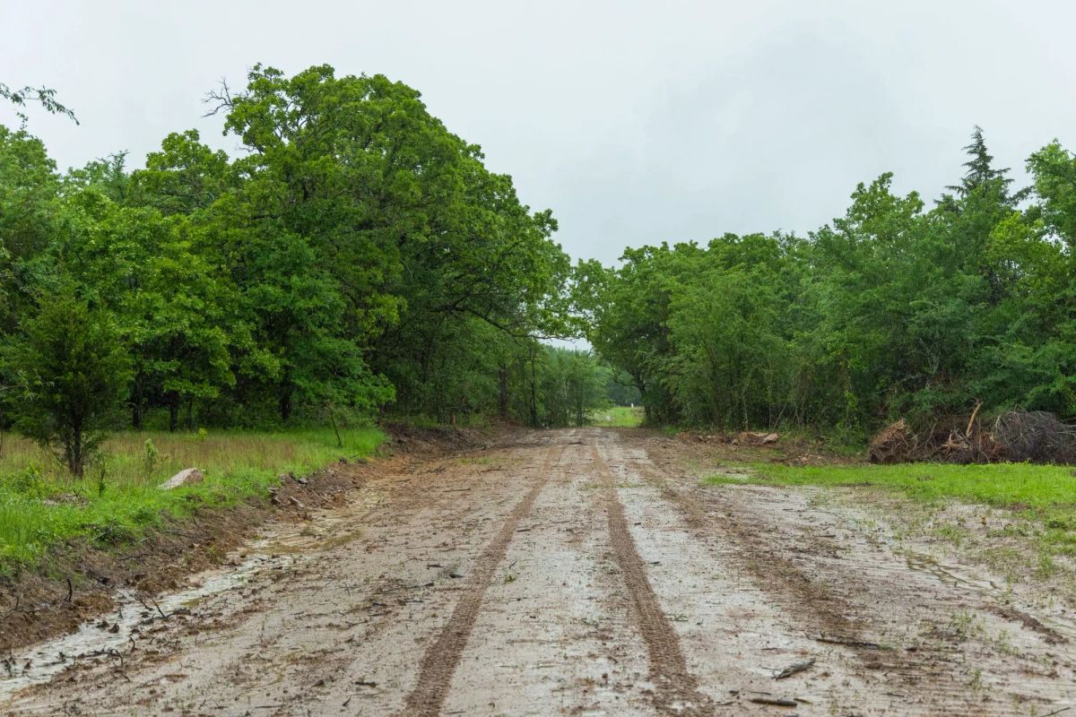 Decorative background for Harmony Hills Tract 16 image 6