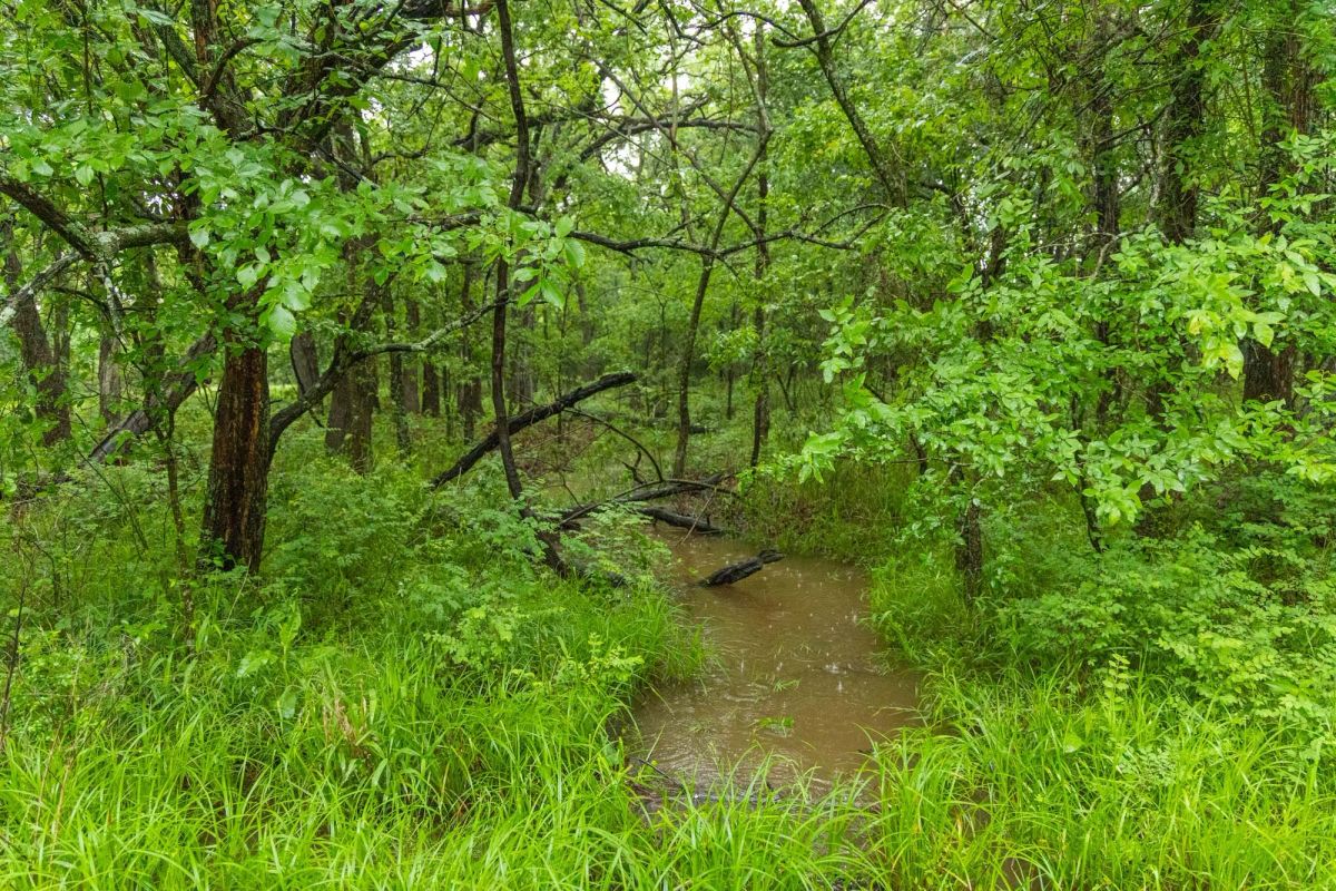 Decorative background for Harmony Hills Tract 16 image 7