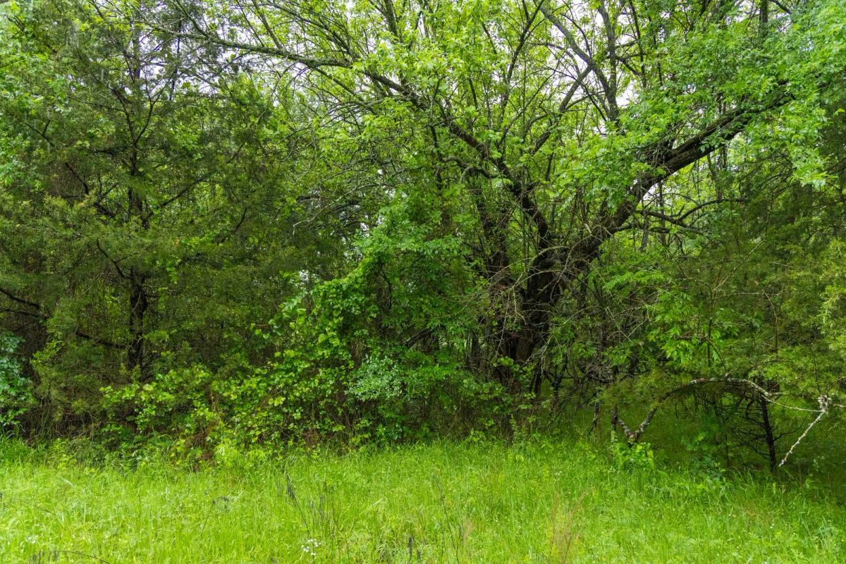 Decorative background for Harmony Hills Tract 16 image 8