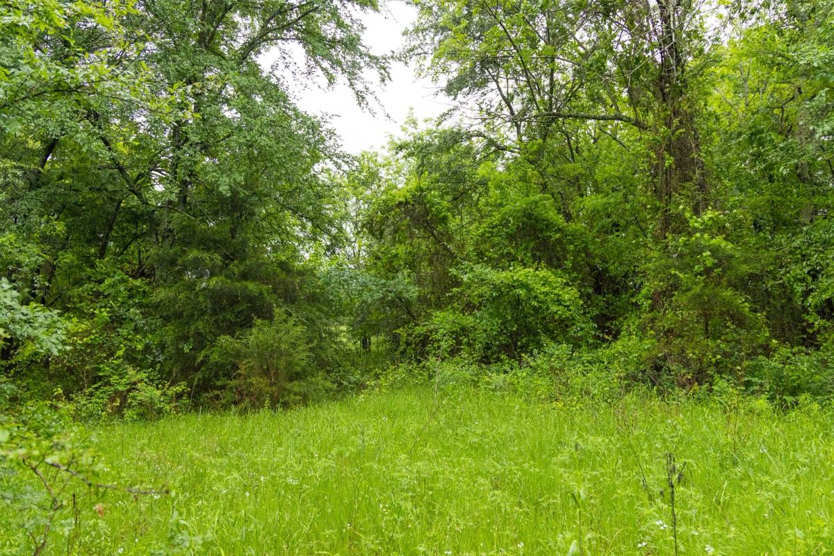 Decorative background for Harmony Hills Tract 16 image 9
