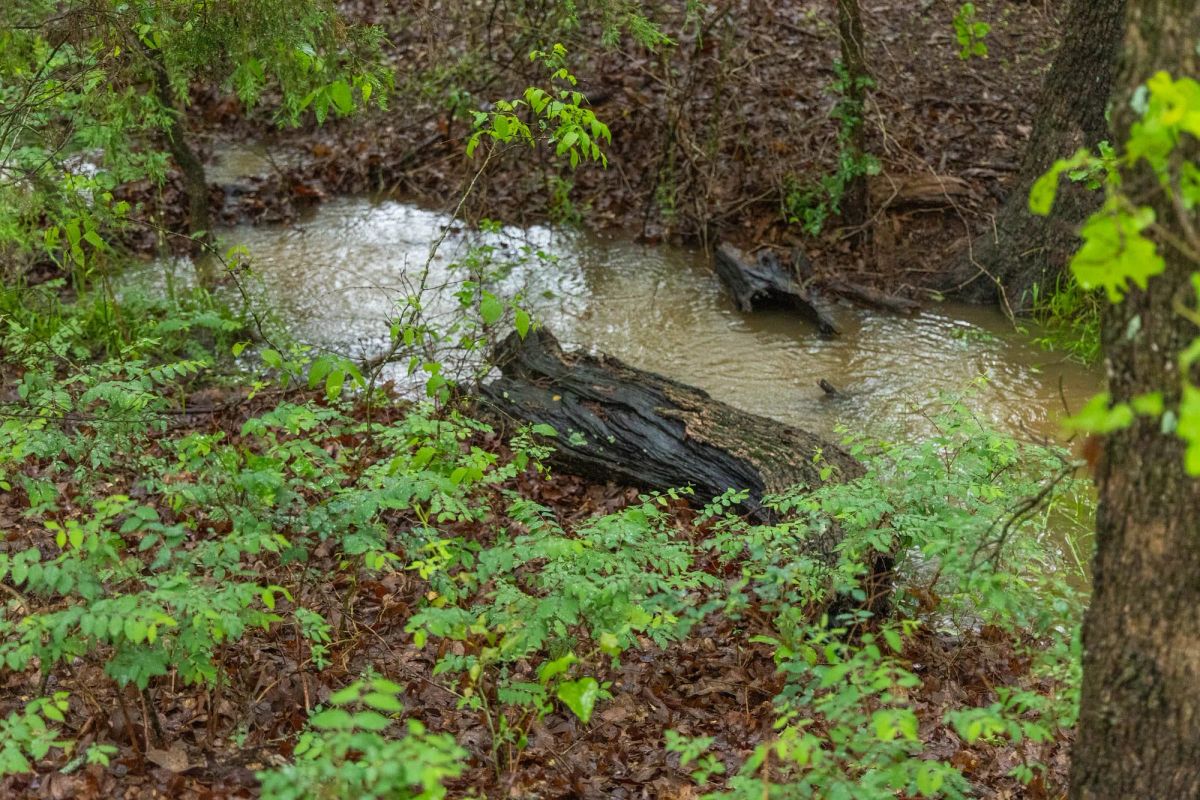 Decorative background for Harmony Hills Tract 16 image 11