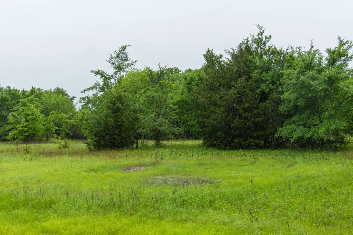 Decorative background for Harmony Hills Tract 16 image 12