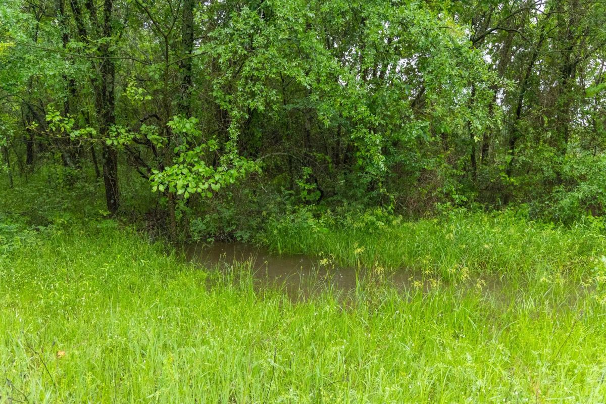 Decorative background for Harmony Hills Tract 16 image 13