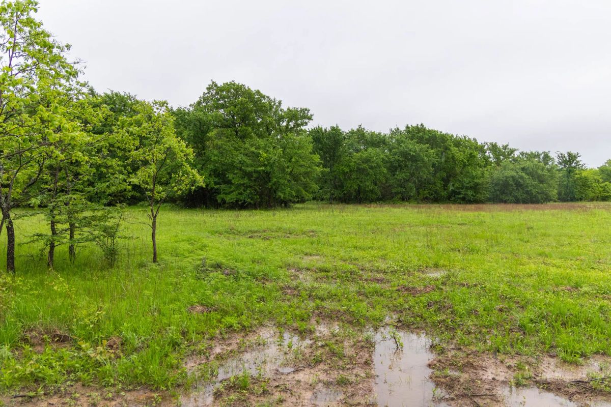 Decorative background for Harmony Hills Tract 16 image 14