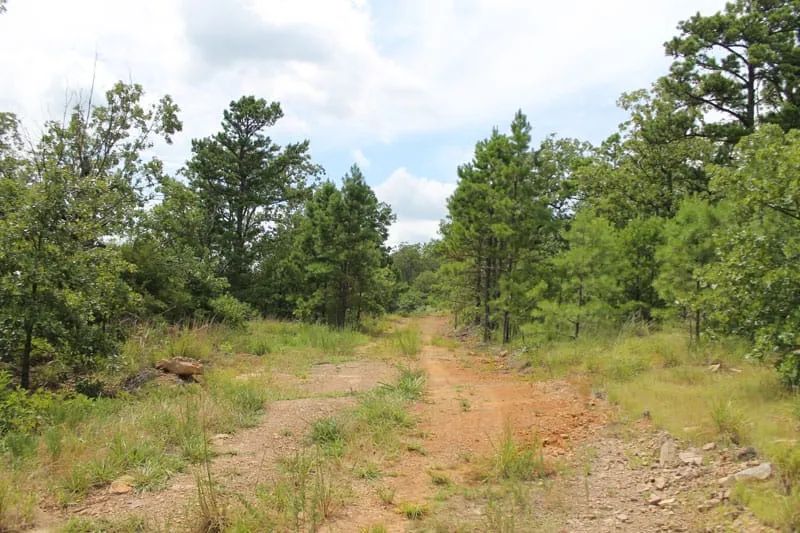 Trophy Ridge Phase III Tract 36 in Pushmataha County, OK