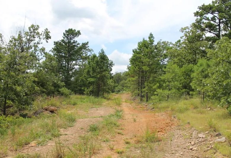 Trophy Ridge Phase III Tract 36 in Pushmataha County, OK