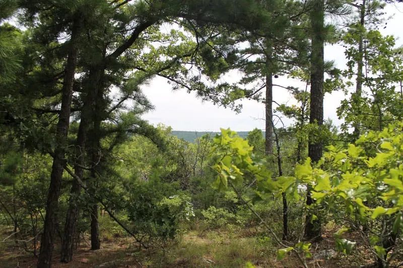 Trophy Ridge Phase III Tract 36 - Image 4