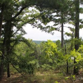 Trophy Ridge Phase III Tract 36 in Pushmataha County, OK