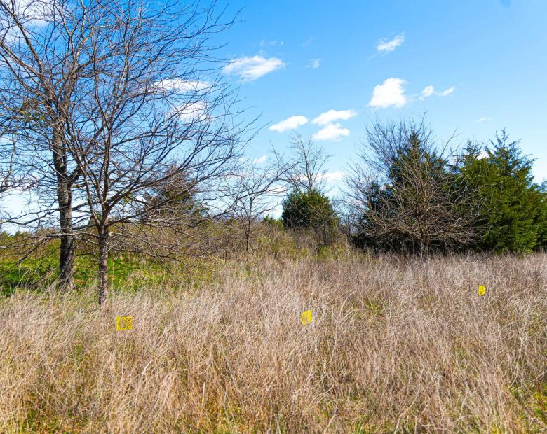 Reserves At Cattail Cove Phase I Tract 27 in Pittsburg County, OK