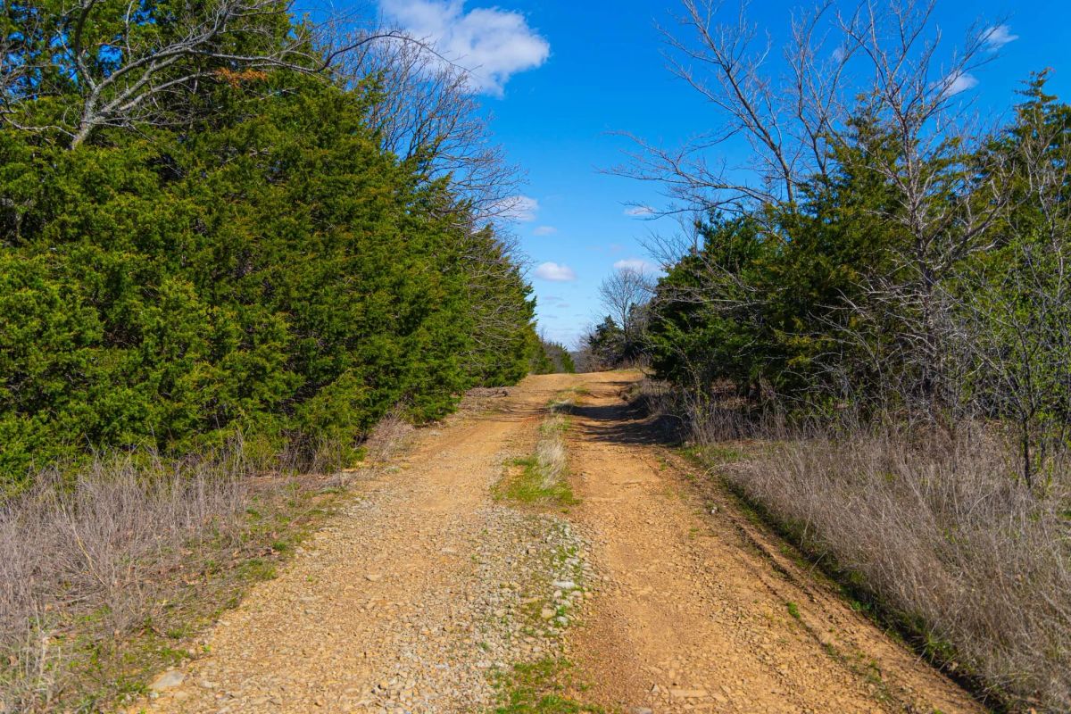 Reserves At Cattail Cove Phase I Tract 27 - Image 2