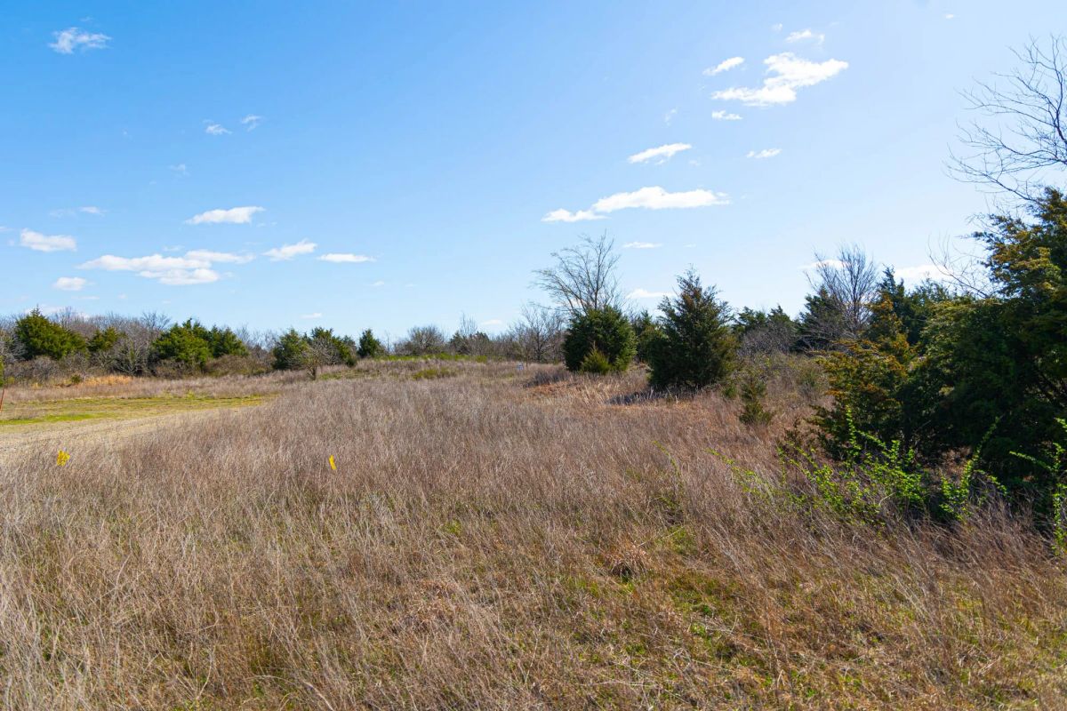Decorative background for Reserves At Cattail Cove Phase I Tract 27 image 6