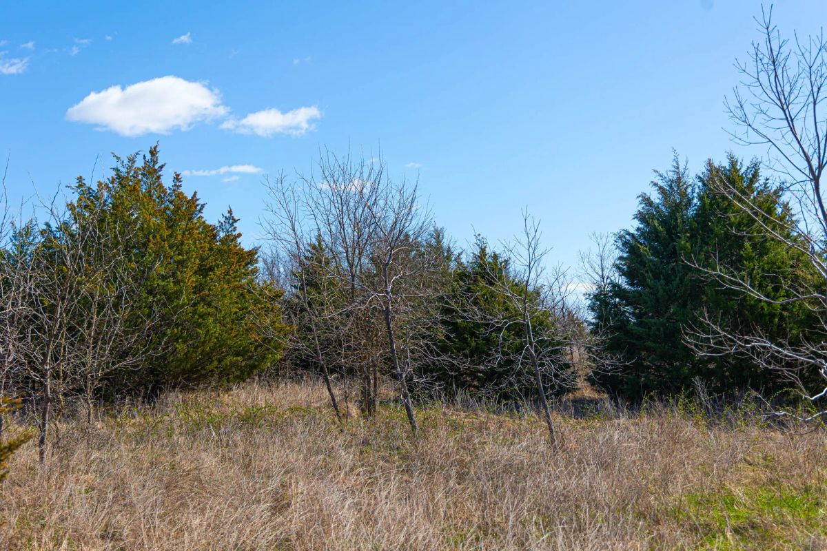 Decorative background for Reserves At Cattail Cove Phase I Tract 27 image 8