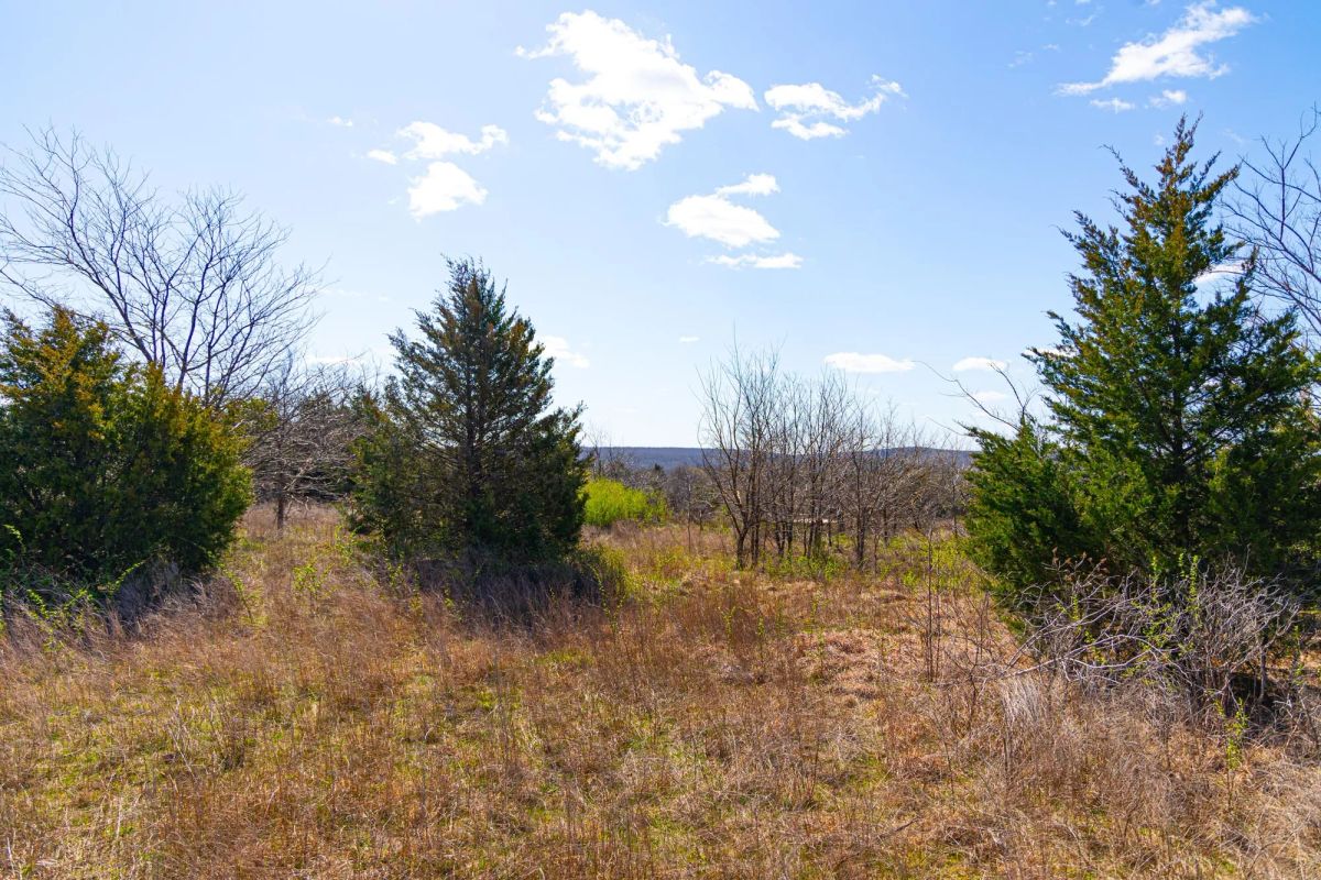Decorative background for Reserves At Cattail Cove Phase I Tract 27 image 9