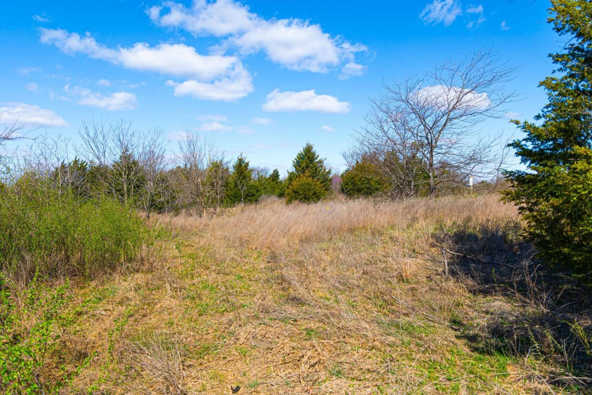 Decorative background for Reserves At Cattail Cove Phase I Tract 27 image 10