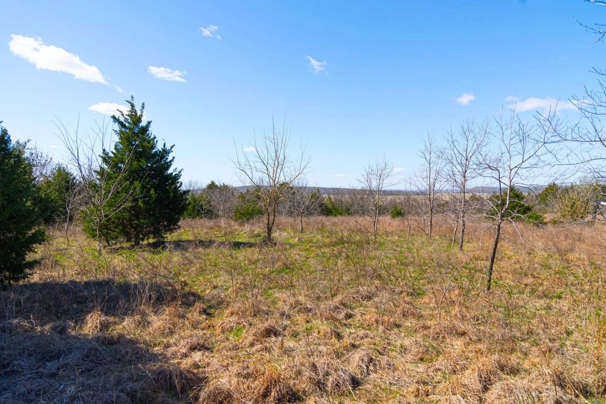 Decorative background for Reserves At Cattail Cove Phase I Tract 27 image 11