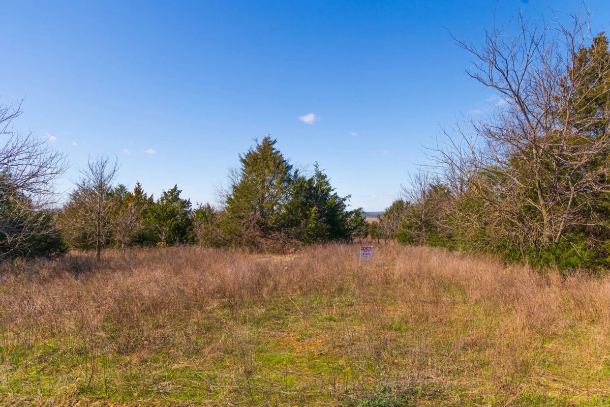 Decorative background for Reserves At Cattail Cove Phase I Tract 27 image 12