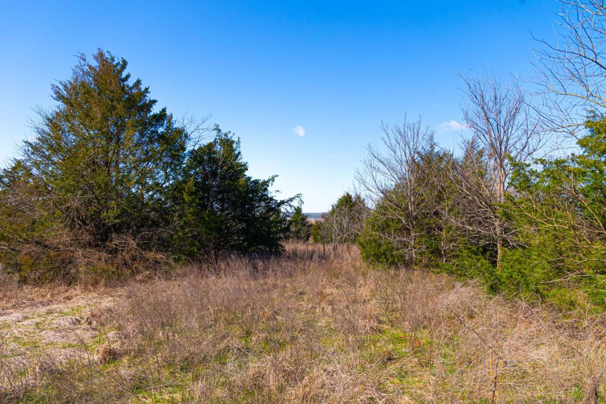 Decorative background for Reserves At Cattail Cove Phase I Tract 27 image 13
