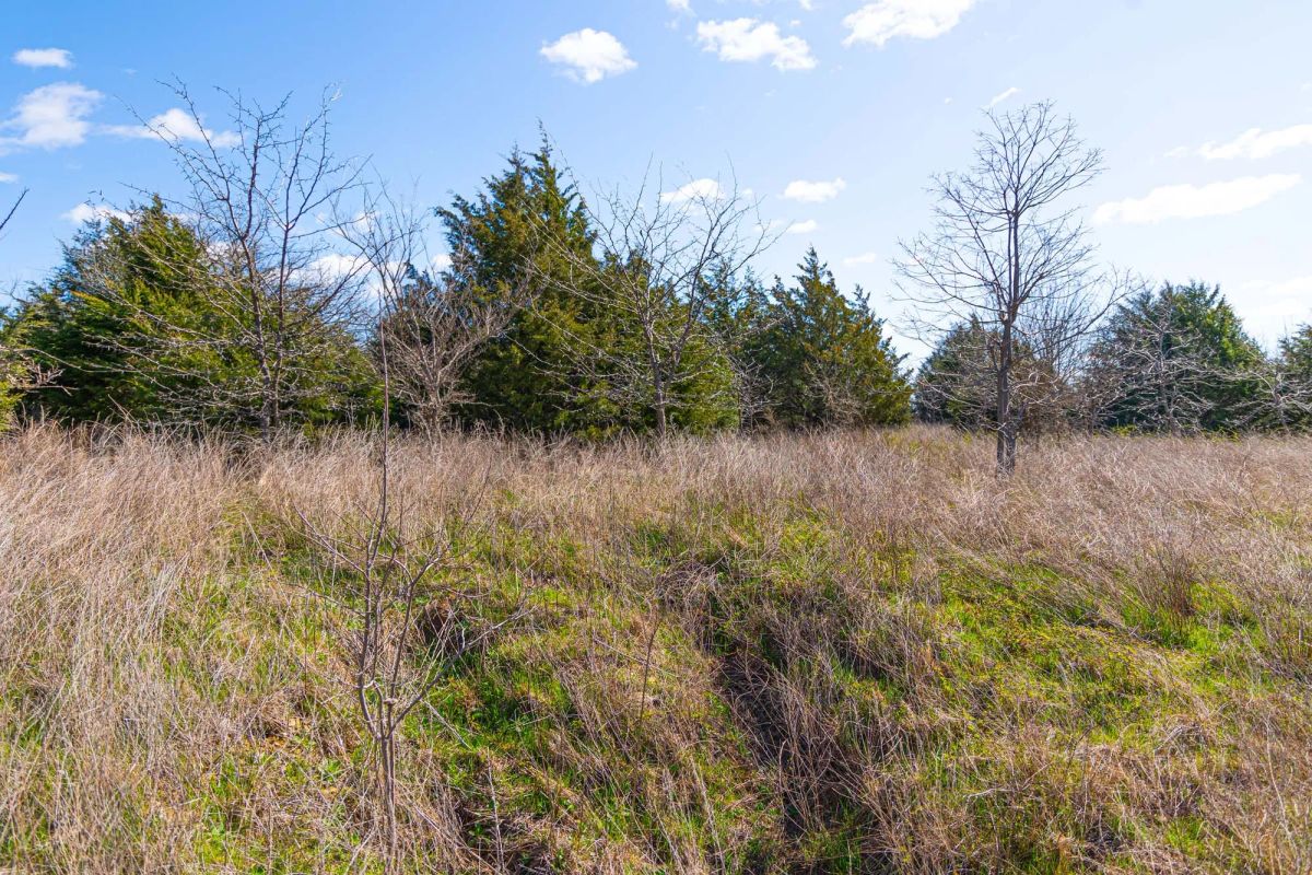 Decorative background for Reserves At Cattail Cove Phase I Tract 27 image 15