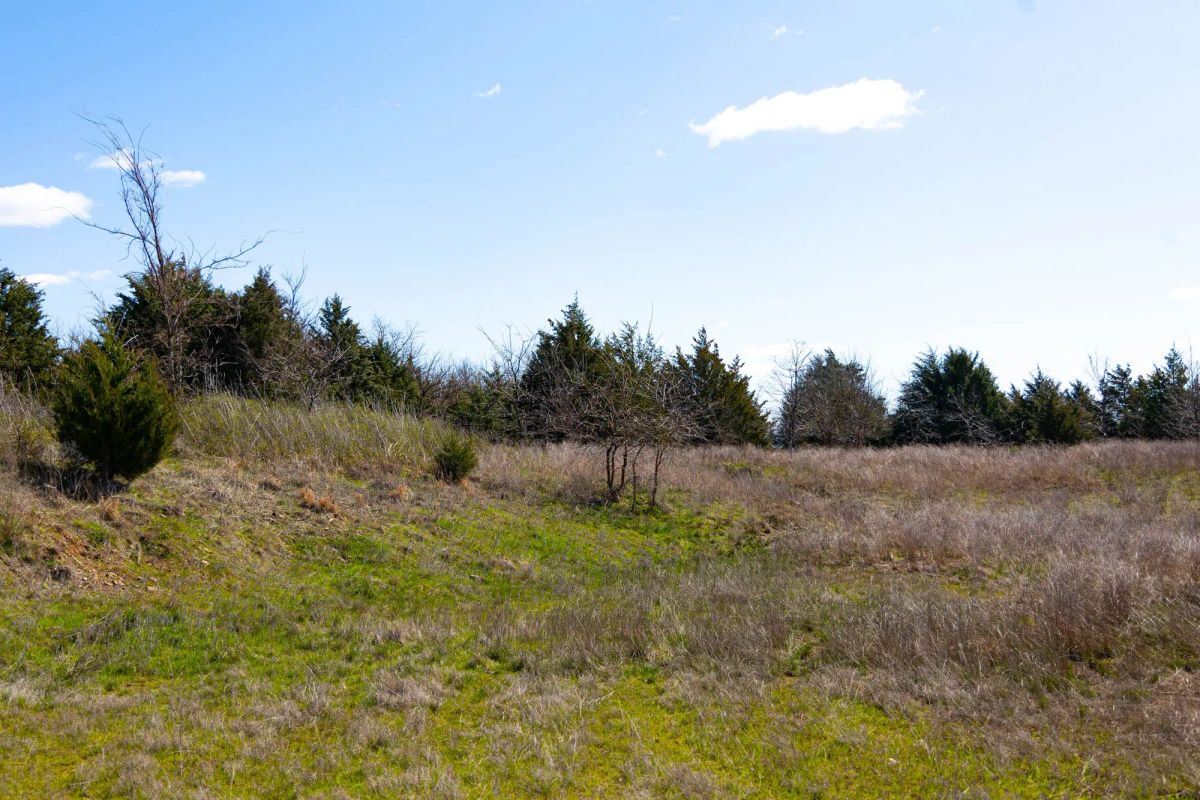 Decorative background for Reserves At Cattail Cove Phase I Tract 27 image 16