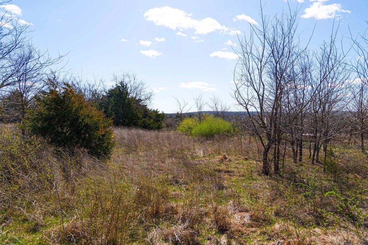 Decorative background for Reserves At Cattail Cove Phase I Tract 27 image 17