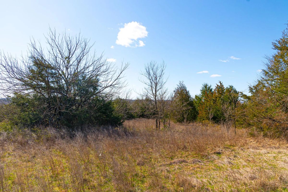 Decorative background for Reserves At Cattail Cove Phase I Tract 27 image 19