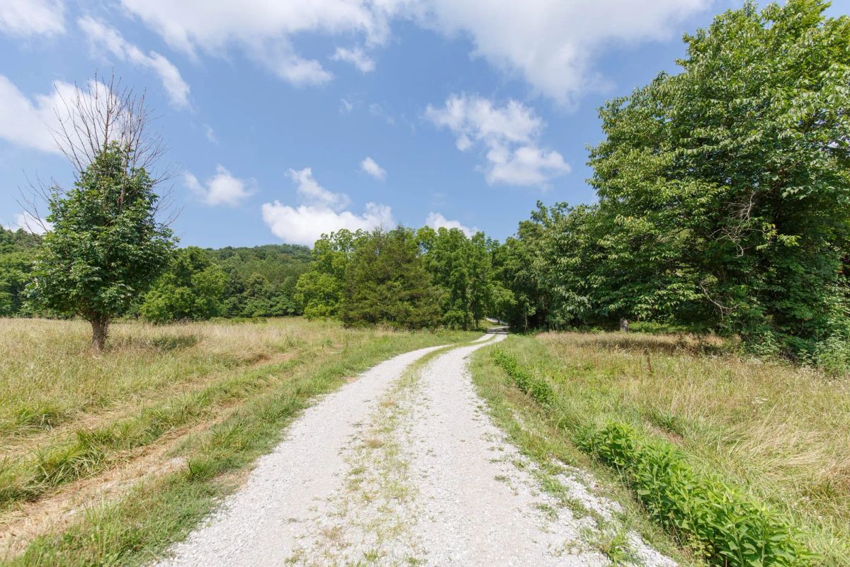 Decorative background for Rolling Hills Tract 18 image 9