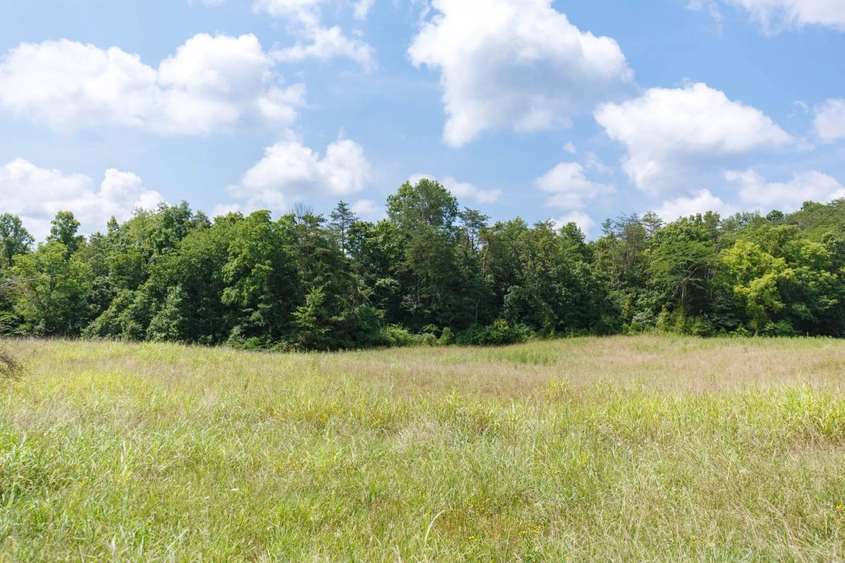Decorative background for Rolling Hills Tract 18 image 13