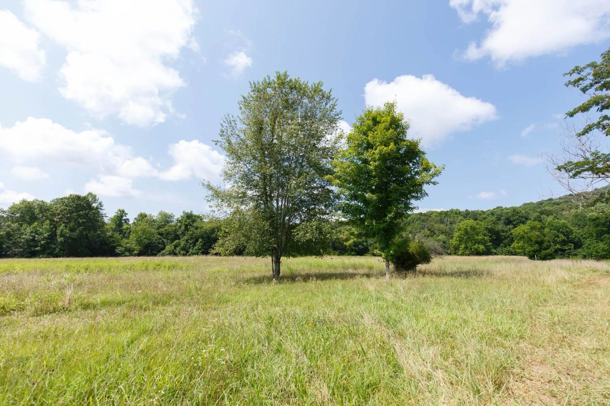 Decorative background for Rolling Hills Tract 18 image 15
